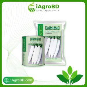 হোয়াইট গোল্ড ৪০ (White Gold 40) Ispahani Seeds - iAgroBD